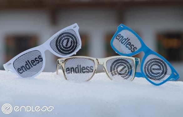 ENDLESS WINTER 2014
